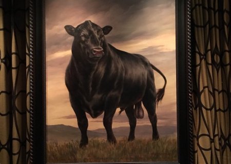 30  buster_bull